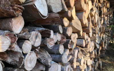 Holz für Schwarzwaldkraft Holzschmuck